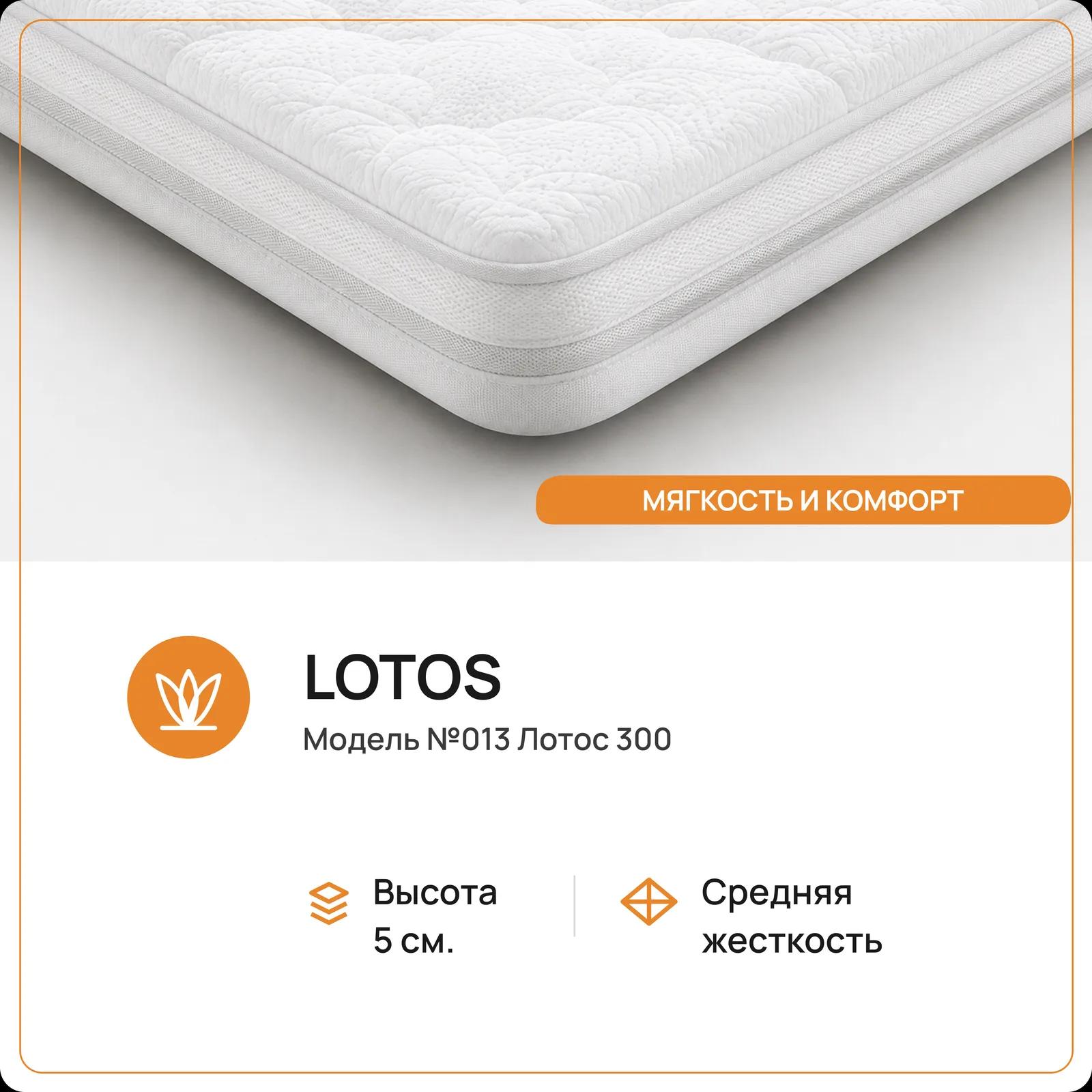 Топпер 013 — RALS